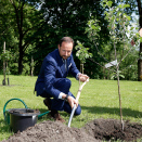 16. juni: Kronprins Haakon plantet et tre under markeringen av Debios 30-årsjubileum på Bygdø Kongsgård. Foto: Berit Roald / NTB scanpix